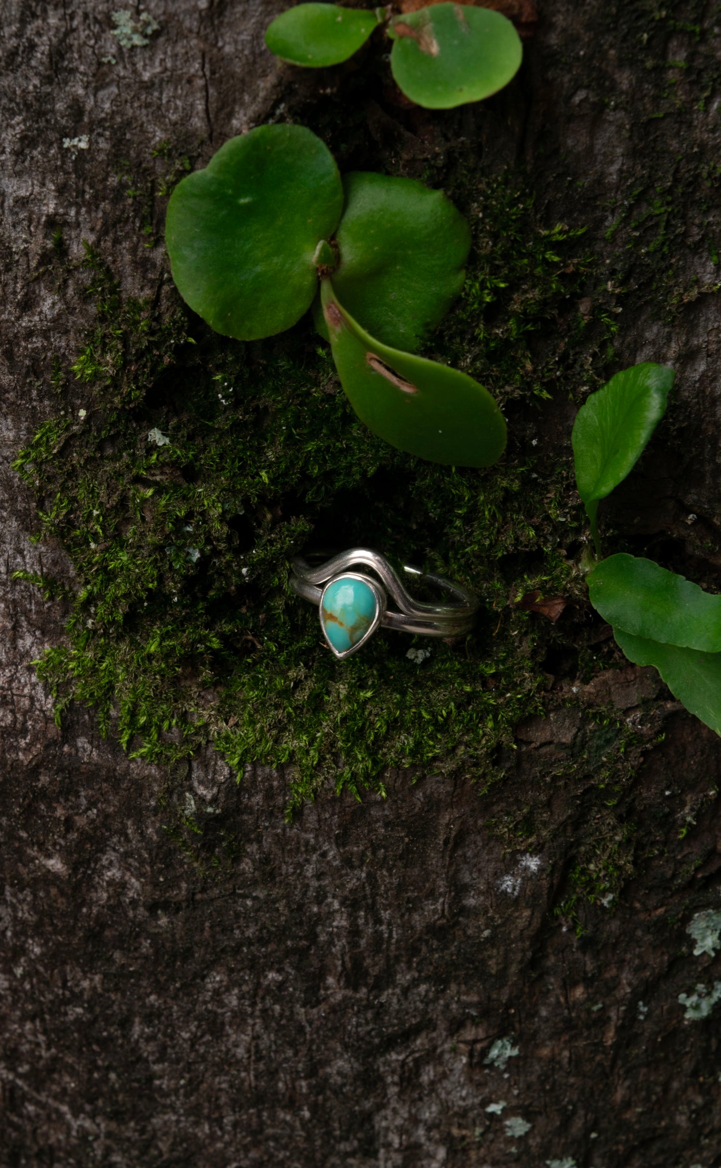 Kings Manassa Turquoise size N