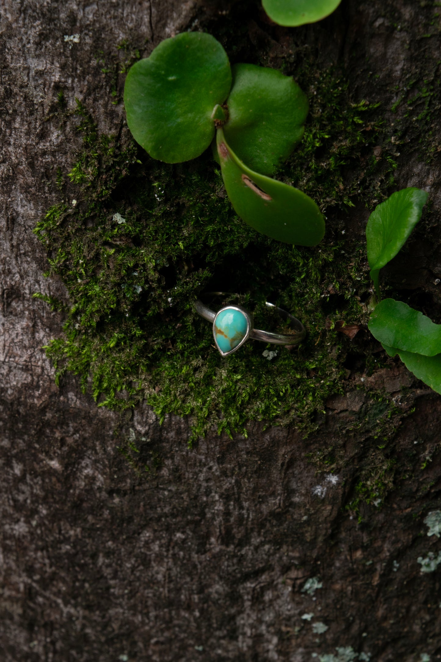 Kings Manassa Turquoise size N