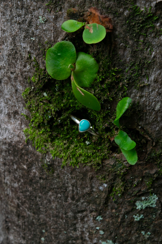 Kings Manassa Turquoise ring size N